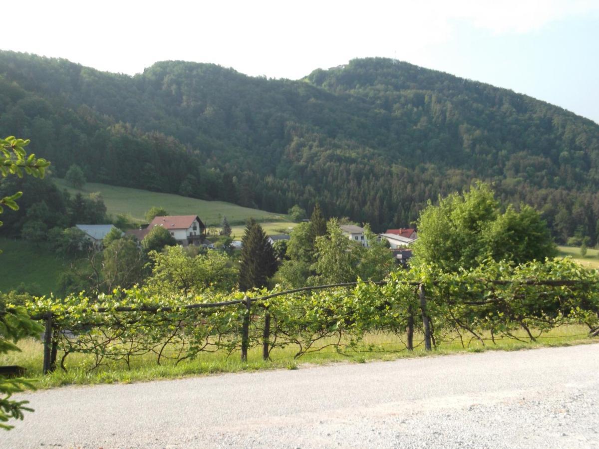 Hillside Bio Glamping Hotel Prebold Buitenkant foto